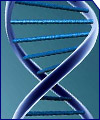DNA in der Forschung 