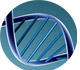 Die Proteinsequenzierung ist ein Verfahren der DNA-Analyse